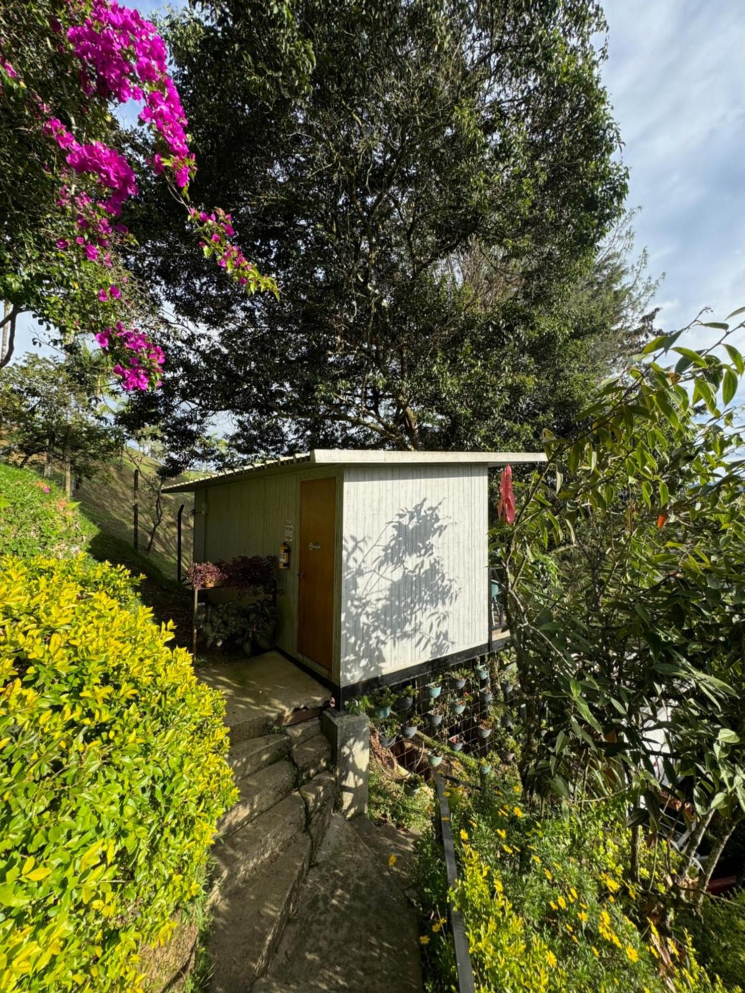 La Madriguera Hotel Guatapé Eksteriør billede